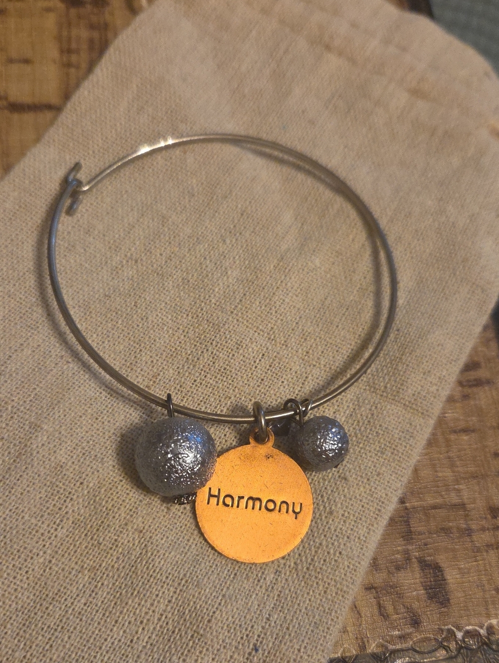 Harmony Charm Silver-Tone Bangle Bracelet